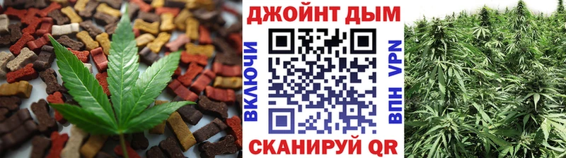 Купить закладки  Киреевск  Cannafood конопля 